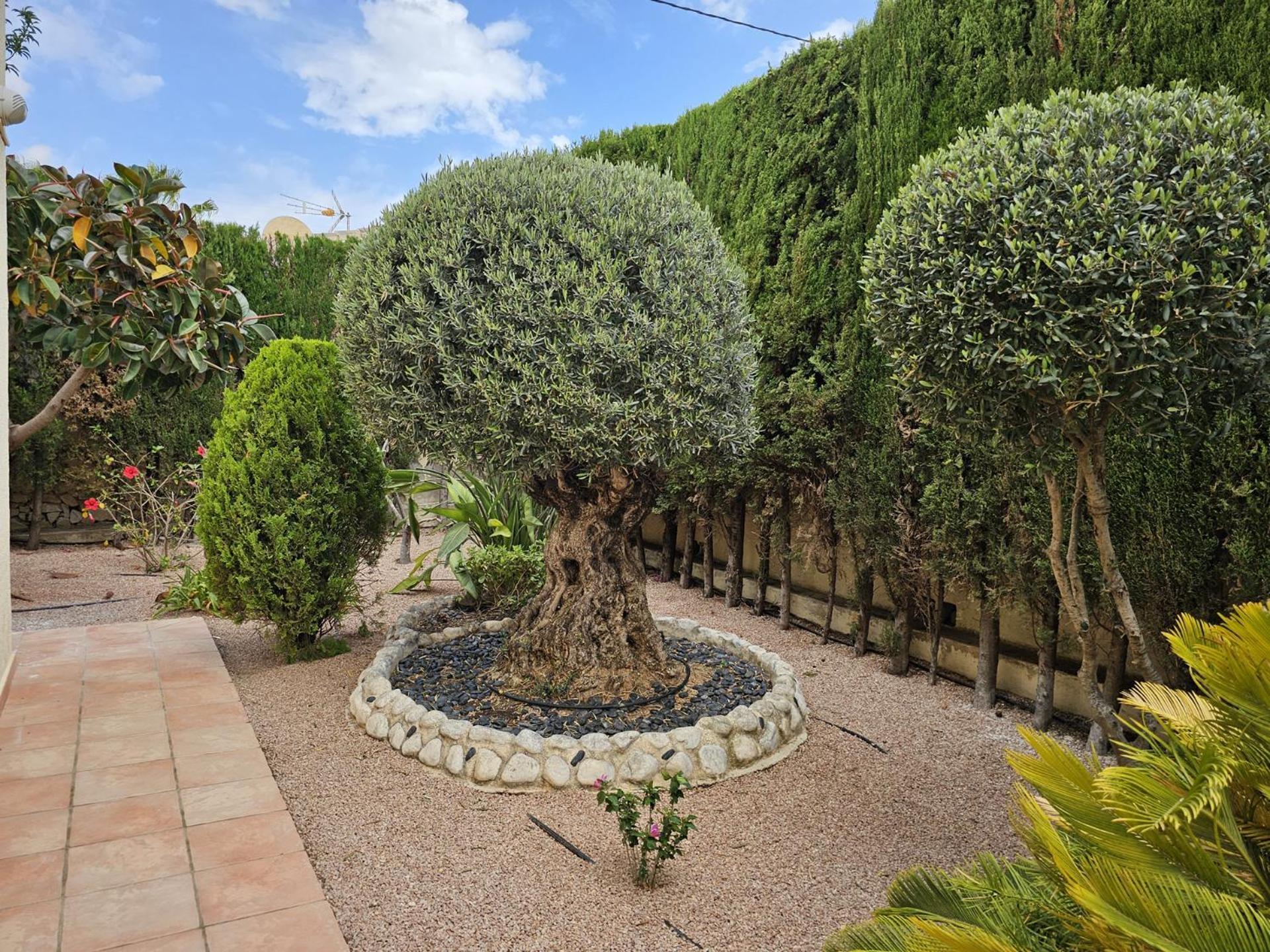 Luxury Villa - Pool, Hot Tub, Aircon, Tvs, Home Cinema, Office, Gbit Internet, Sports Equipment Calpe Exterior foto